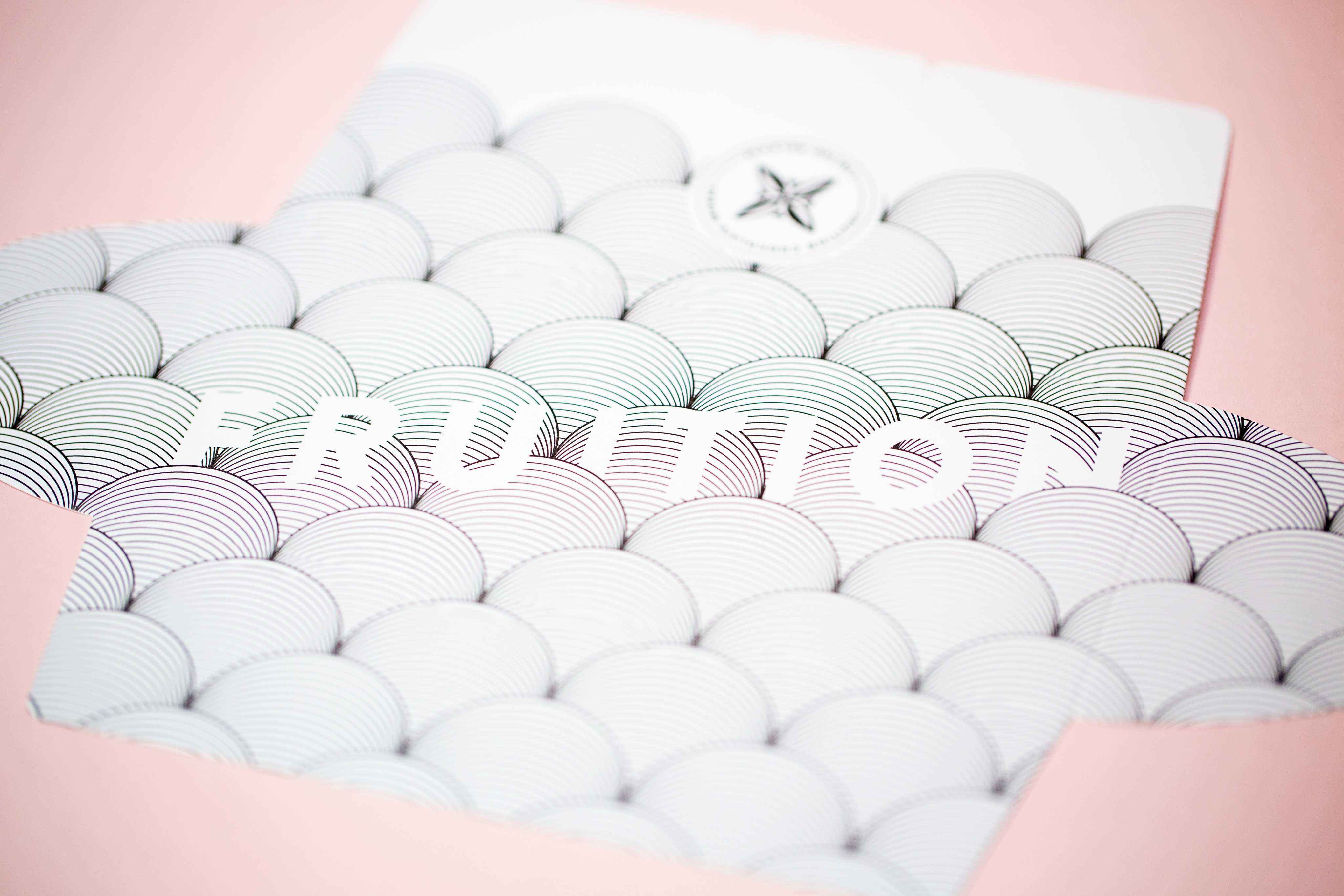 Fruition Limited Edition Chocolate Packaging • Mama’s Sauce