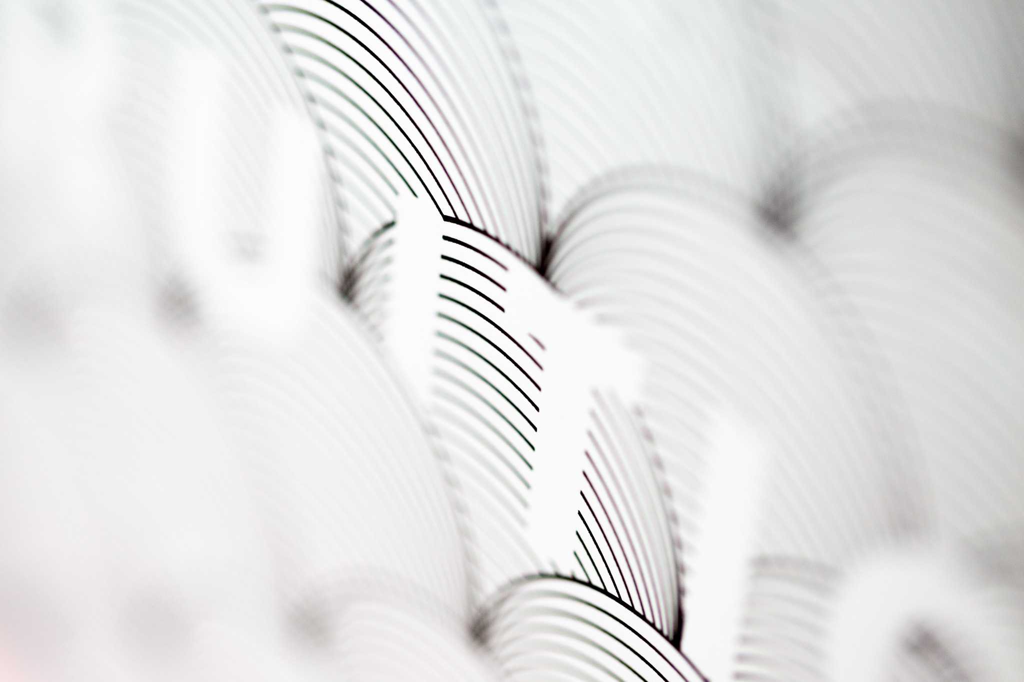 Fruition Limited Edition Chocolate Packaging • Mama’s Sauce